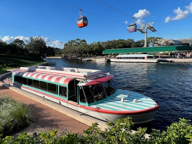 Disney Park Live Photo